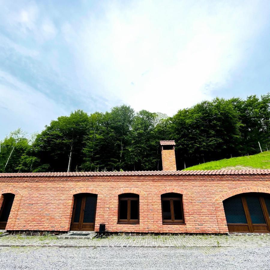 Комплекс Скала Vila Serednye Vodyane Exterior foto